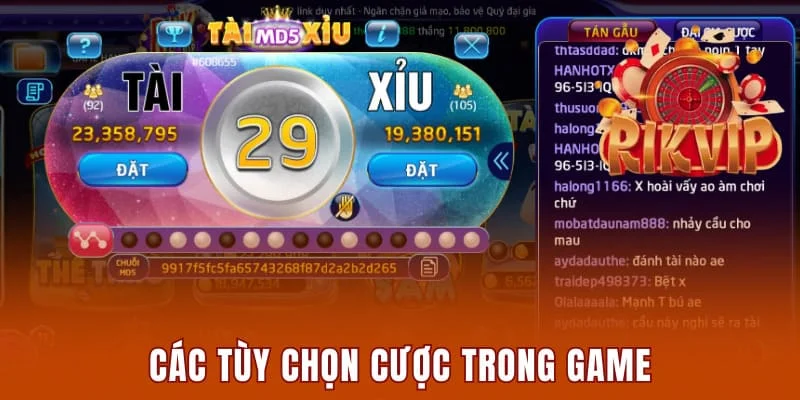 Các tùy chọn cược trong game