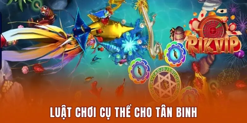 Vua Săn Cá - Siêu Phẩm Cá Cược Đổi Thưởng Hot Nhất 2025 2 Luật chơi cụ thể cho tân binh